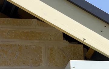 soffit repair Dowlish Wake