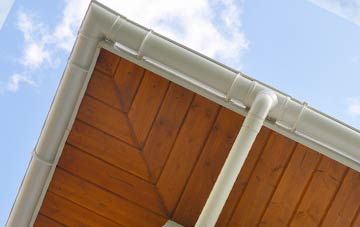 Dowlish Wake soffit types