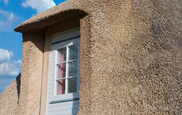 Dowlish Wake thatch roof disadvantages