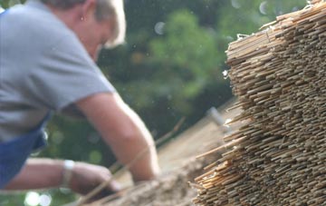 professional Dowlish Wake thatchers