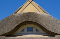 Dowlish Wake thatch roofing